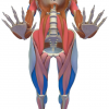 1615859169891.png