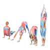 1615860243780.png