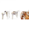 1615860913317.png 1615860913317.png