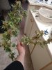 IMG_20210318_214900576.jpg