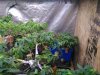 small tent_5.jpg