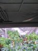 small tent_1.jpg