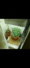 Screenshot_20210322-190956_Gallery.jpg