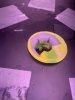 image1 (1).jpeg