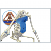1616814917116.png