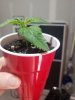 20210329_062906.jpg 20210329_062906.jpg