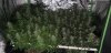 20210325_174112.jpg 20210325_174112.jpg