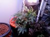 downsized_0701092309.jpg