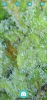 9469835E-BCC4-4BCB-B131-76A4C78EAE0B.png
