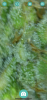 3CEAD24C-E8EE-4A5D-8659-CDB4ACD8995A.png