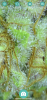 6423BB73-9DB2-4535-B214-DB77616024D3.png