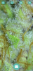 B5139DA7-F037-4446-B690-26AE0C9B6FBC.png