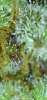 82A82841-F72F-400B-84A2-41C13CEAAE7A.png