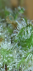 E7024533-20C8-4D63-9BFD-724D2B523495.png