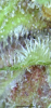 889943E9-0480-4F85-B63E-7C87E4363548.png