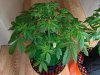 PXL_20201202_105939035.jpg