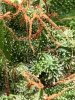 1B74C283-813D-4759-8C65-C6AEB24FFE47.jpeg