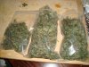 AFGHAN&NL 049.jpg