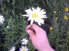 0705091836.jpg