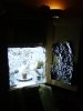 Door Open Seedling Room 3 Daylight CFL's.jpg Door Open Seedling Room 3 Daylight CFL's.jpg