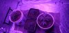 20210225_165418.jpg