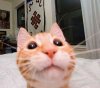 taking-a-selfie1.jpg