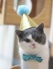 19B33B44-699E-4E45-8D71-A7A229CEEE68.jpeg
