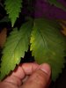 20210424_165057.jpg 20210424_165057.jpg