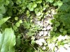 jul 06 2009-s-003.jpg
