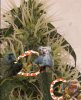 PicsArt_04-27-12.01.23.jpg