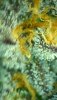 2021_05_04_16_01_17_079.jpg 2021_05_04_16_01_17_079.jpg