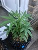 IMG_3634.jpeg