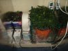 DSC03958.jpg