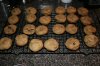 IMG_8397 (Large).jpg