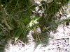jul 07 2009-s-010.jpg