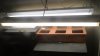 DSC00724.jpg