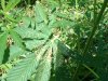 DSCF0051.jpg