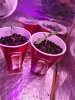 20210520_211243.jpg