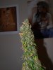 200907080001.jpg