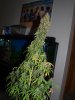 200907080002.jpg
