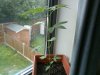03082008021.jpg