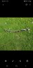 Screenshot_20210527-082631_Gallery.jpg