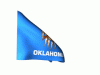 Oklahoma_240-animated-flag-gifs.gif