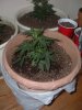 DSCF4533.JPG