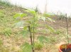 100_0451.jpg