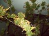 100_0137.jpg