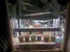 Veg setup.jpg