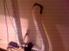 8 in inline fan 1000 watt electric balist.jpg