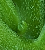Screenshot_20210614-062300~2.png