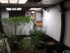 20210615_161441.jpg 20210615_161441.jpg